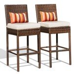 Sundale 30" Outdoor Wicker Bar Stool Set of 2