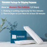 Waterproof 12x20 Outdoor Lumbar Pillow Set of 4