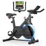 Adjustable Magnetic Resistance Exercise Bike for Home