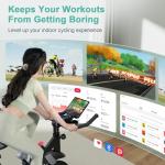 Adjustable Magnetic Resistance Exercise Bike for Home