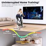 CHAOKE Adjustable Indoor Cycling Exercise Bike