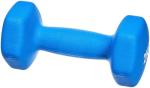 Blue 2 kg Neoprene Dumbbell Pair