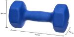 Blue 2 kg Neoprene Dumbbell Pair