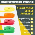 Resistance Bands Set for Home Workouts