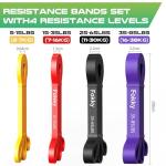 4-Level Resistance Bands Set for Strength Training