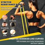 Resistance Bands Set for Home Workouts