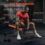 Adjustable Weight Bench for Full Body Workouts