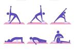 VLFit Set of 2 Colorful Hi-Density Yoga Blocks