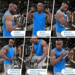 Adjustable Twister Arm and Chest Trainer