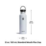 Hydro Flask Stainless Steel Water Bottle with Flex Cap