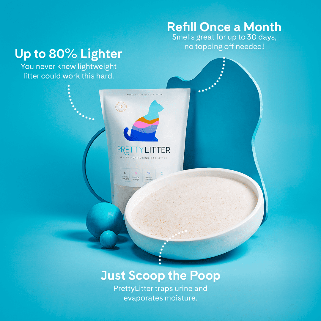 PrettyLitter Cat Litter for Health Monitoring, 8lb