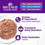 Wellness Complete Health Seafood Variety Wet Cat Food