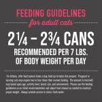 Tiki Cat Grill Wet Food Variety Pack 12 Cans