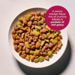 Meow Mix Chicken Gravy Bursts Cat Food, 3 LB