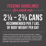 Tiki Cat Grill Fish Pâté Variety Pack, 12 Cans