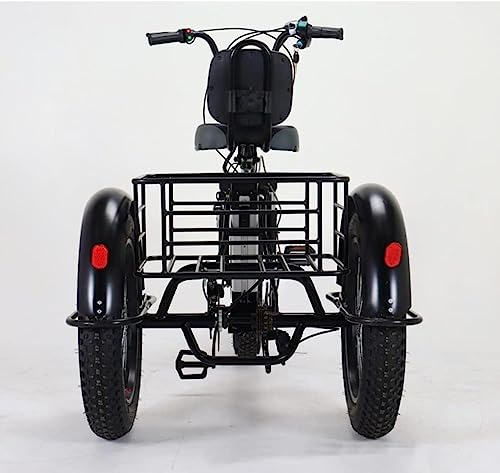 20" Fat Tire 3-Wheel Electric Bike for Adults
