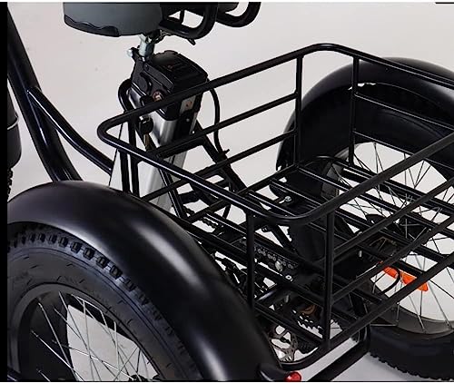 20" Fat Tire 3-Wheel Electric Bike for Adults