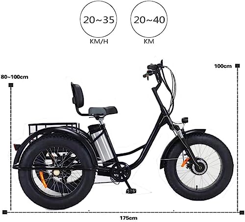 20" Fat Tire 3-Wheel Electric Bike for Adults