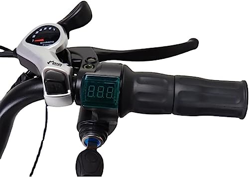 20" Fat Tire 3-Wheel Electric Bike for Adults