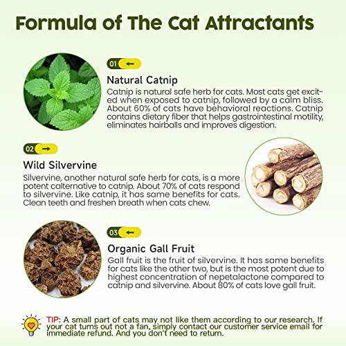 Potaroma Catnip Toys Set with Silvervine Balls