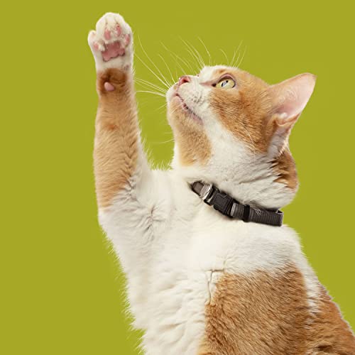 Natural Chicken & Rice Cat Food