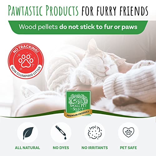 Premium Pine Pelleted Cat Litter - 20lb