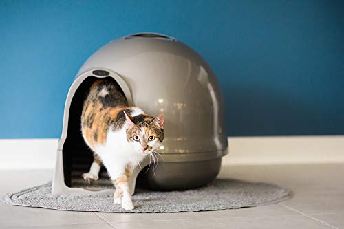 Aspen Pet Booda Dome Cleanstep Cat Litter Box