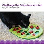 Nina Ottosson Buggin Out Cat Toy Feeder