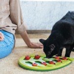Nina Ottosson Buggin Out Cat Toy Feeder