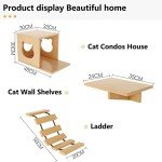 Cat Wall Shelves and Perches with Condos