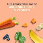 Organic Baby Food Pouches Variety Pack - Set of 18