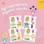 Little Bellies Organic Strawberry Snack Sticks (5 Pack)