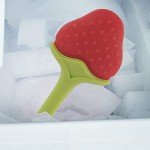 BPA-Free Organic Teething Toys Set for Babies