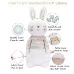 COTTONEBEBE Organic Stuffed Animal with Lullaby Music