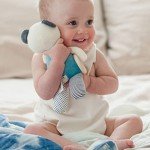 Organic Busy Bear Activity Toy for Babies