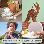 Honest Company Unscented Baby Wipes - 288 Count