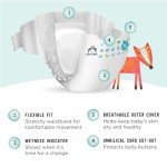 Mama Bear Hypoallergenic Newborn Diapers, 30 Count