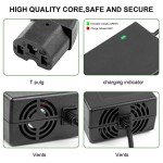 ARyee 67.2V 2A Electric Scooter Battery Charger