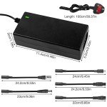 42V 2A Electric Scooter Charger with 6 Connections