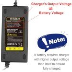 29V 5A Charger for Mobility Scooters and Wheelchairs