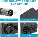 29V 5A Charger for Mobility Scooters and Wheelchairs