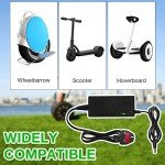 42V 2A Electric Scooter Charger with 6 Connections