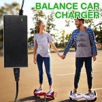 42V 2A Electric Scooter Charger with 6 Connections