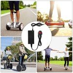 42V 2A Electric Scooter Charger with 6 Connections