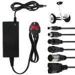 42V 2A Electric Scooter Charger with 6 Connections