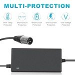 29V 5A Charger for Mobility Scooters and Wheelchairs