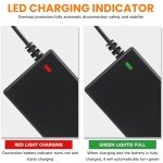 42V 2A Fast Charger for Electric Scooters