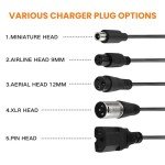 42V 2A Fast Charger for Electric Scooters