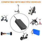 42V 2A Fast Charger for Electric Scooters