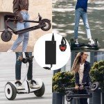 42V 2A Fast Charger for Electric Scooters
